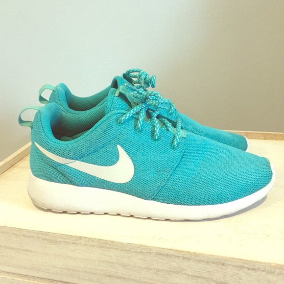 pro direct puma evospeed